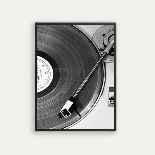 vinyl record