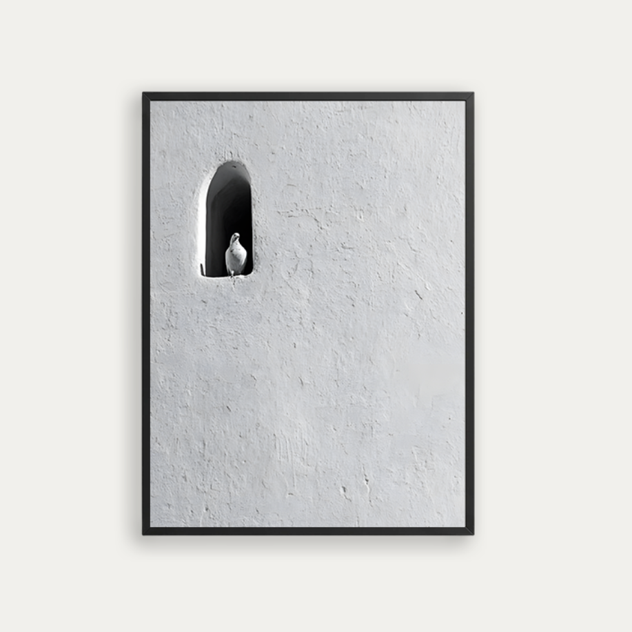 Pigeon
