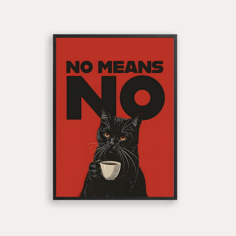 NO MEANS NO